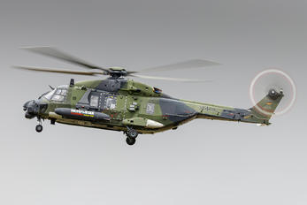 79+10 - Germany - Army NH Industries NH-90 TTH