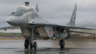 #2 Poland - Air Force Mikoyan-Gurevich MiG-29UB 42 taken by Roman N.
