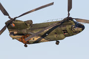 D-666 - Netherlands - Air Force Boeing CH-47D Chinook aircraft