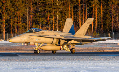 HN-451 - Finland - Air Force McDonnell Douglas F-18C Hornet
