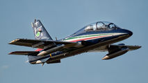 MM54482 - Italy - Air Force "Frecce Tricolori" Aermacchi MB-339-A/PAN aircraft