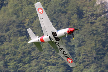 D-ESUI - Private Scalewings SW-51 Mustang