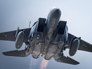 91-0308 - USA - Air Force McDonnell Douglas F-15E Strike Eagle