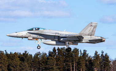 HN-416 - Finland - Air Force McDonnell Douglas F/A-18C Hornet
