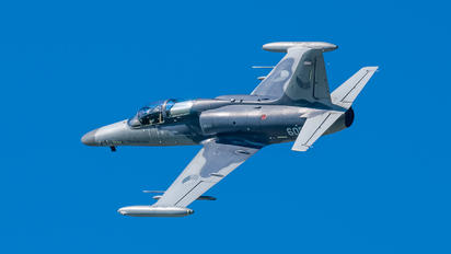 6054 - Czech - Air Force Aero L-159A  Alca