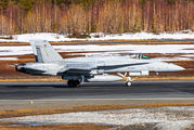 HN-428 - Finland - Air Force McDonnell Douglas F-18C Hornet aircraft